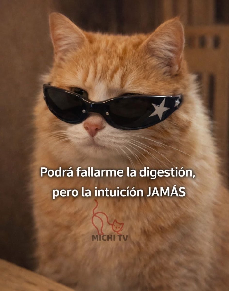 Alejandra Tamayo tweet media