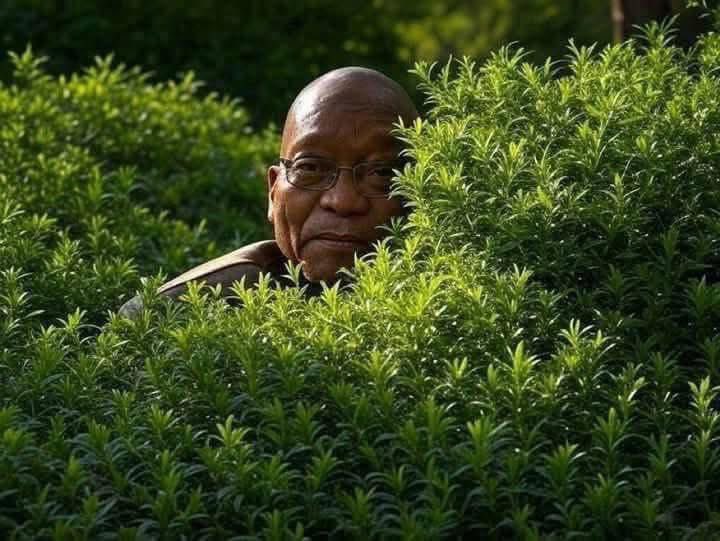 “Even if he cheats he knows where home is🥹”

STI &amp; HIV: