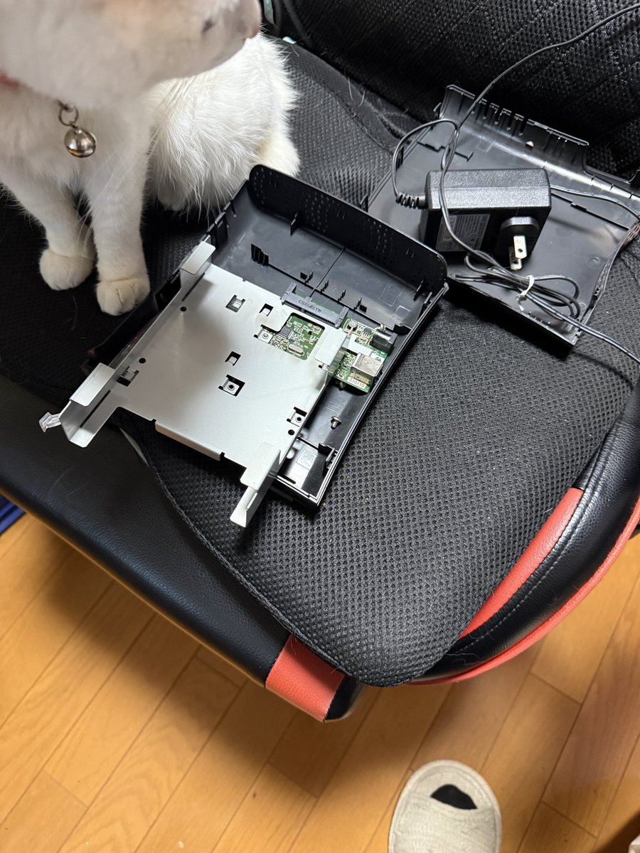 たまぴ㌠🐈 tweet media