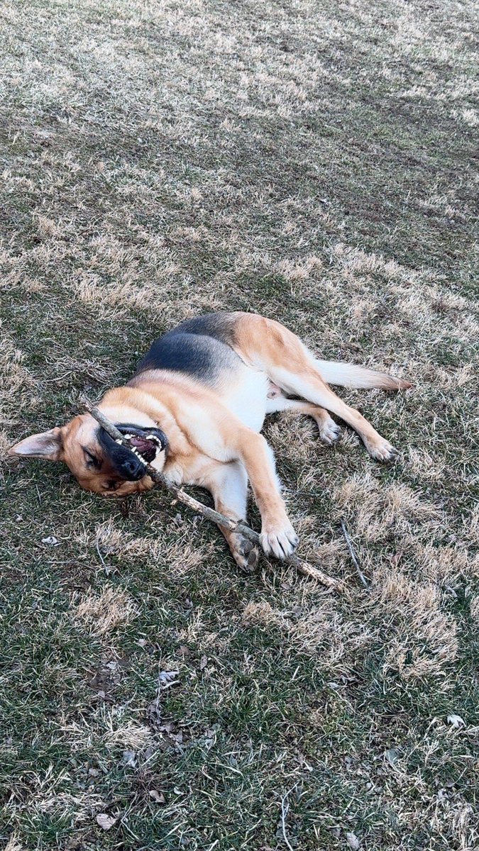 Kyle Rutledge, MS, MHA, AT, ATC tweet media