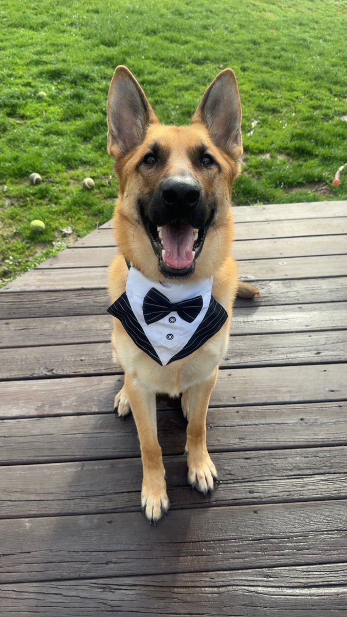 Kyle Rutledge, MS, MHA, AT, ATC tweet media