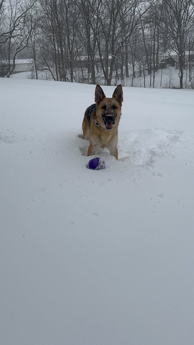 Kyle Rutledge, MS, MHA, AT, ATC tweet media