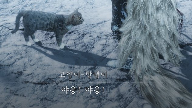 곽두팔 tweet media