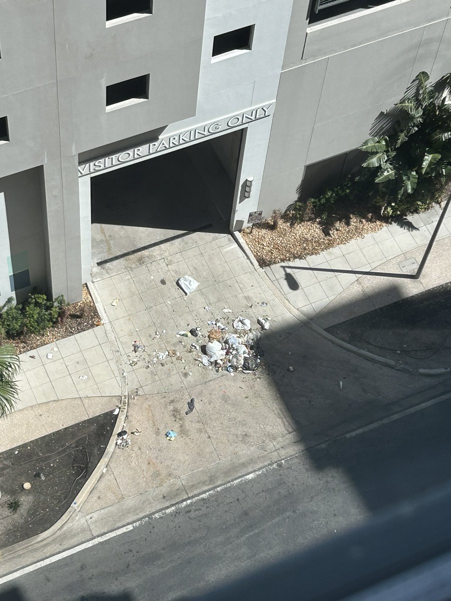 Daniel Gerard tweet media