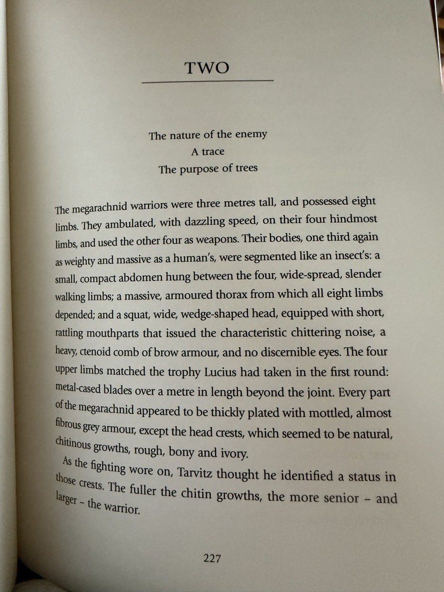 MariusGage tweet media