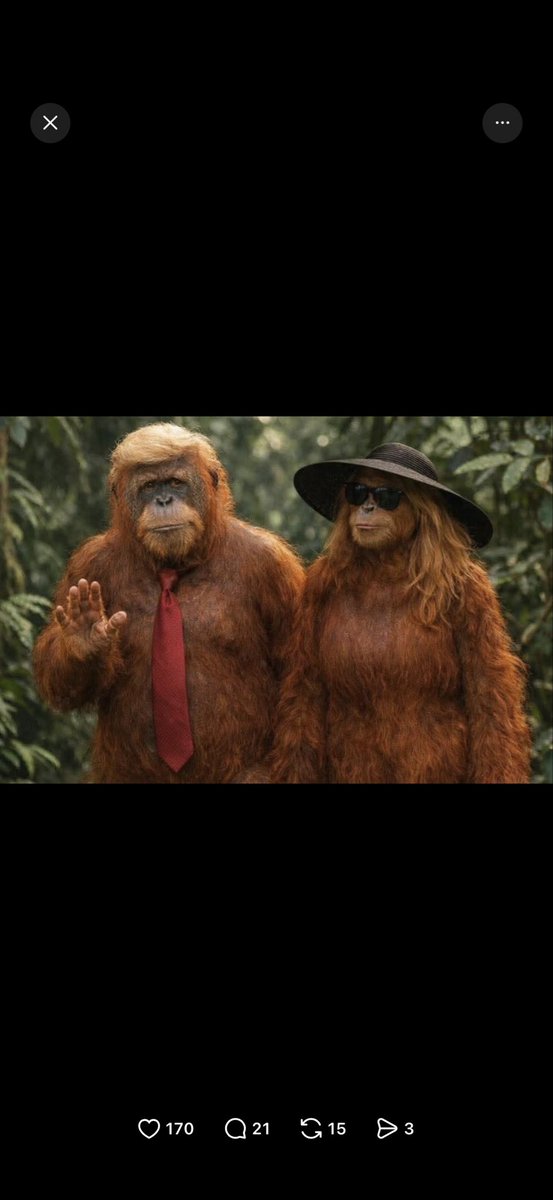 jerry gonzalez tweet media