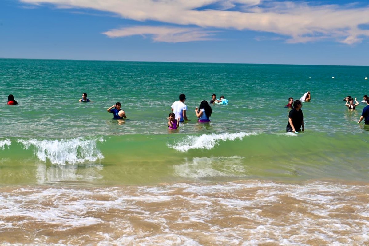 Michelle Rivera tweet media