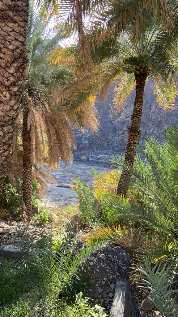 𝑌 🌷. tweet media