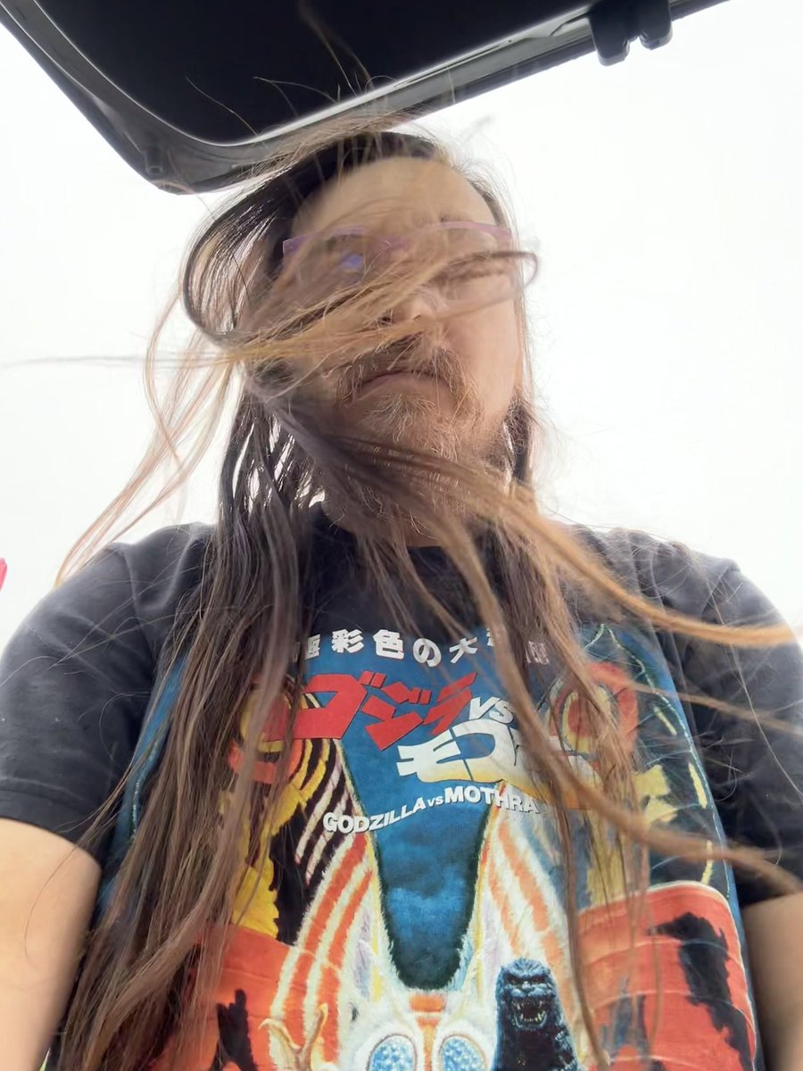 Garry B. (SALLOW MOTH) tweet media