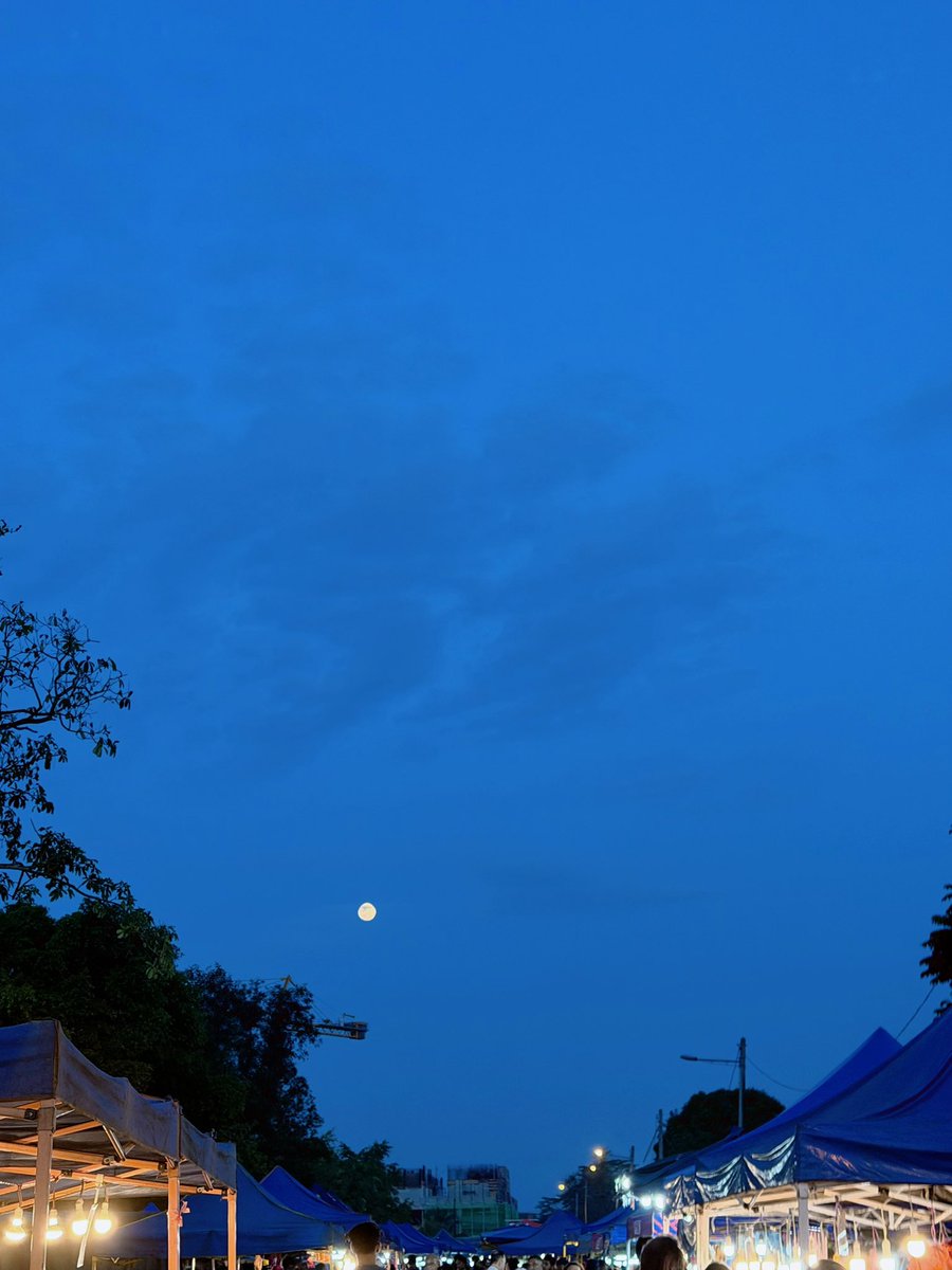 雪玲酱 tweet media