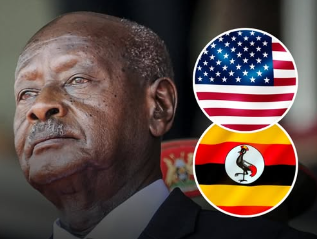 African Hub tweet media