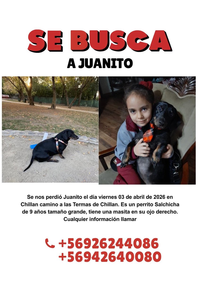 Atención #Chillan buscan a Juanito. Favor RT! Gracias