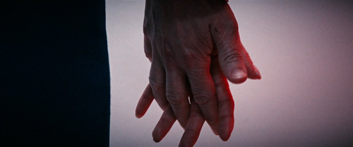 maria 🍁 tweet media