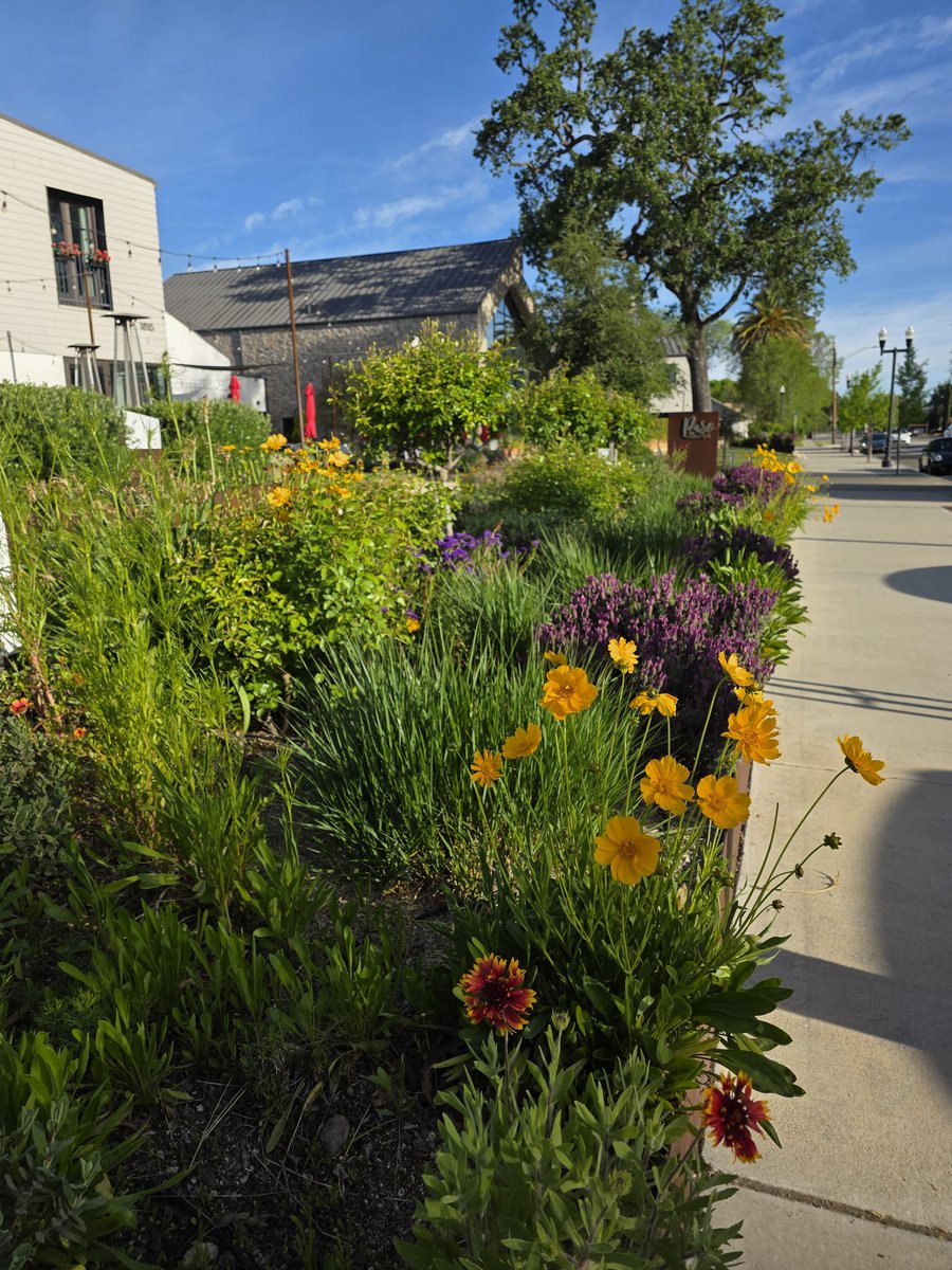 nomoretired2023's tweet image. We made it! #SpringBreak