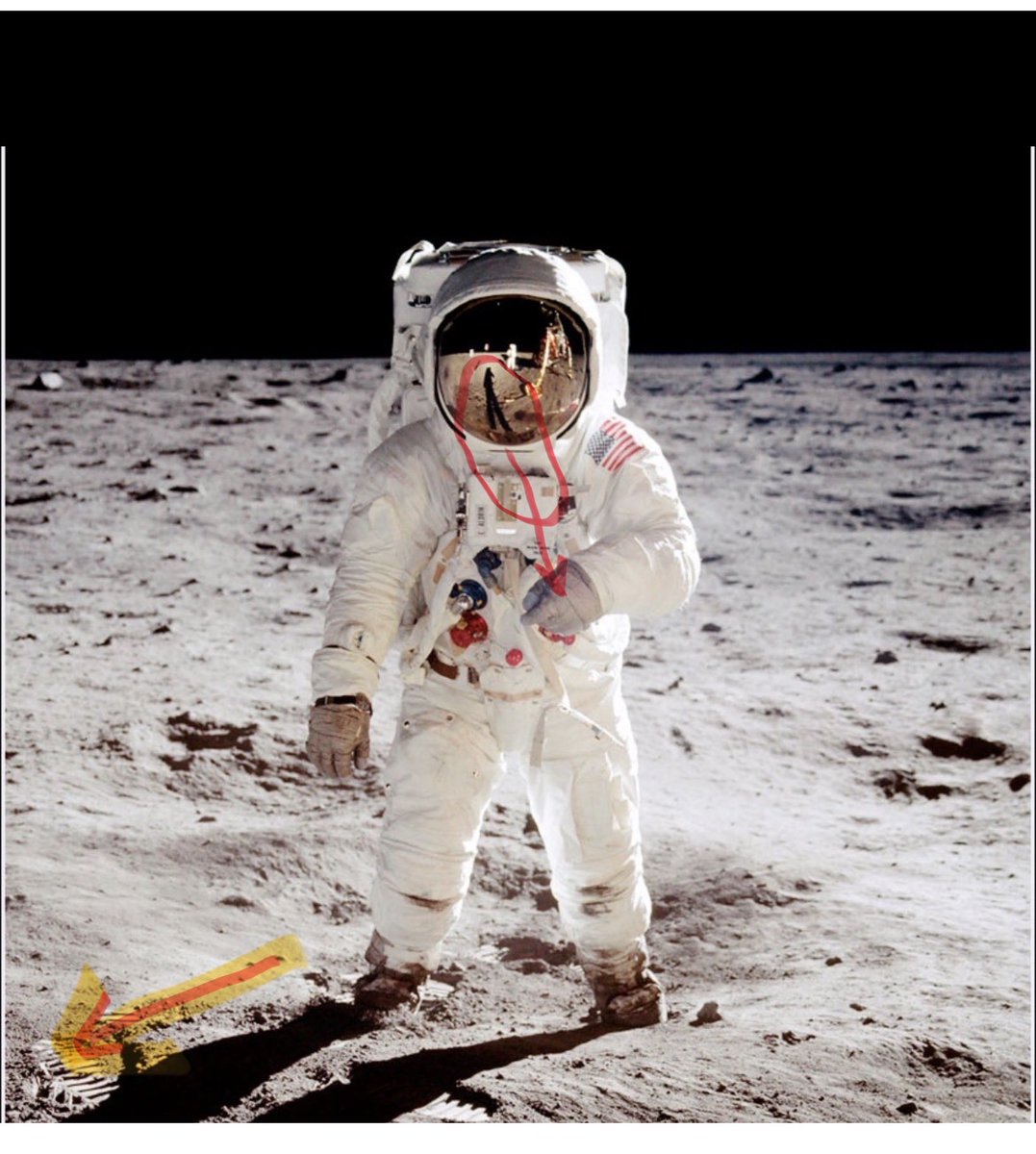 Sowell and Friedman tweet media