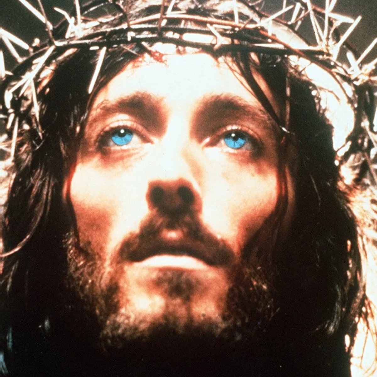 Fandom Pulse tweet media