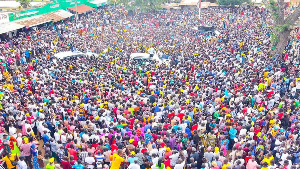 Bianca™ tweet media