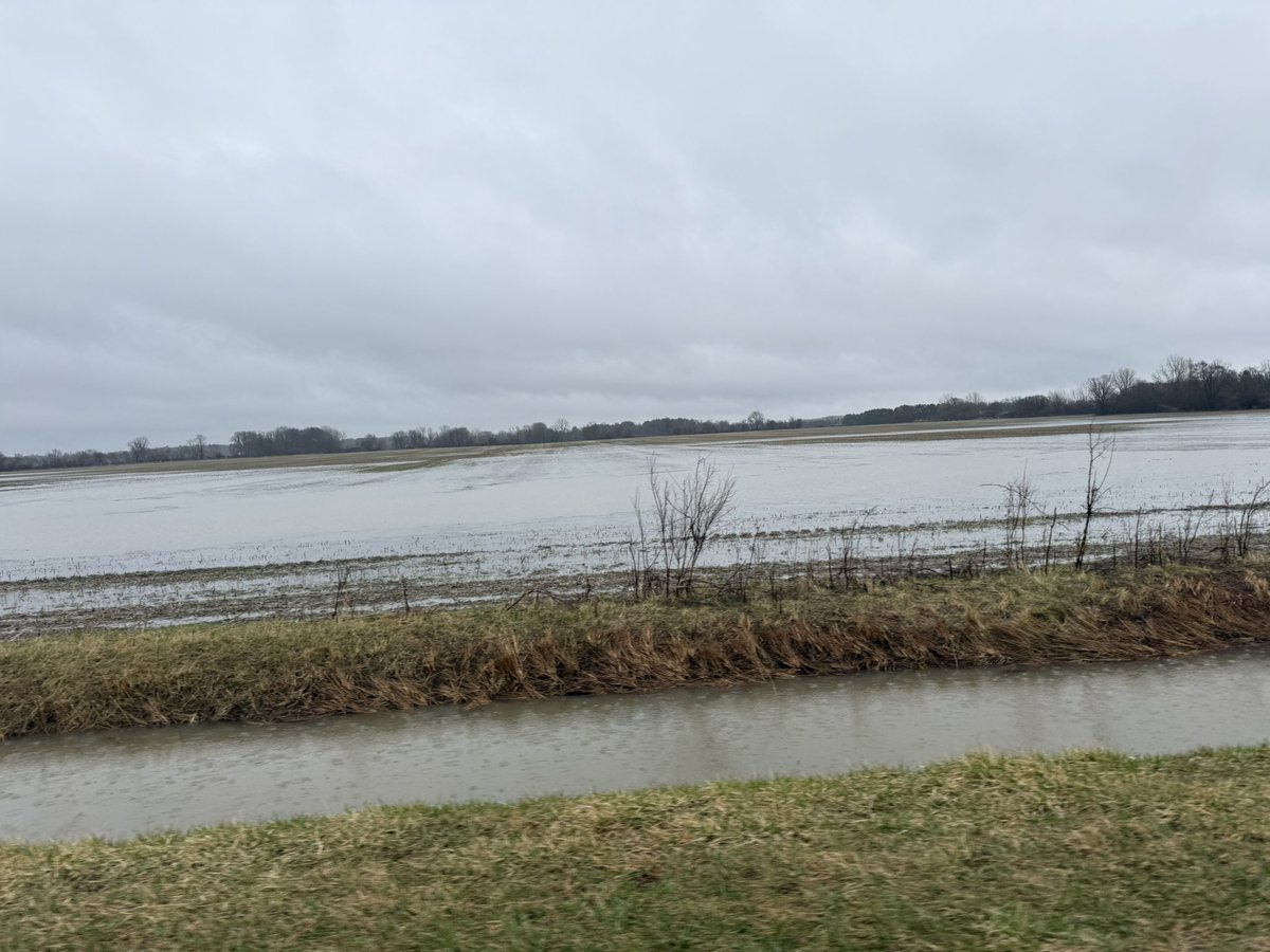 Dave Bondy tweet media