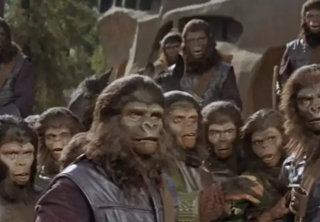 THE LAST SENTINEL 1980 tweet media