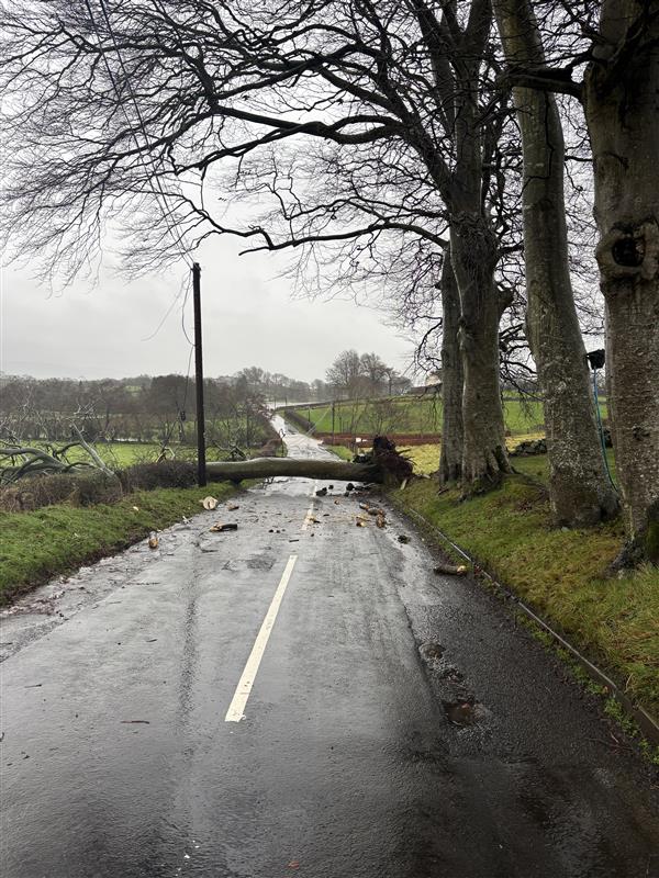 Openreach tweet media