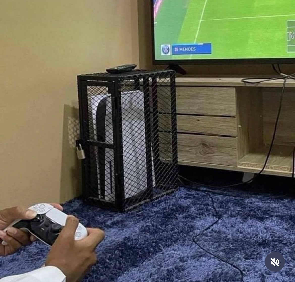 😂 The moment I hear “PS5 increment,” I start guarding mine like it’s a national treasure 😂