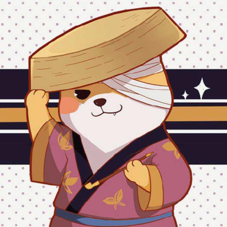 只发精品 tweet media