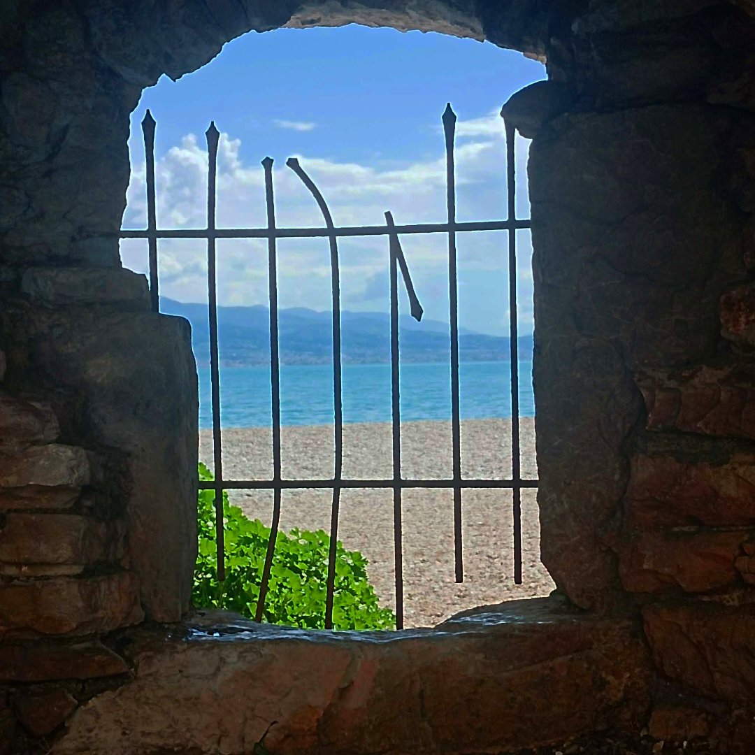 Dimitroulam Giasou tweet media