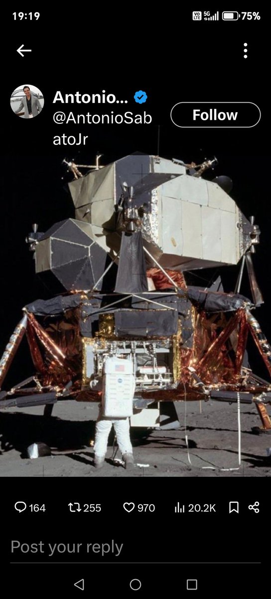 freeliberty67 tweet media