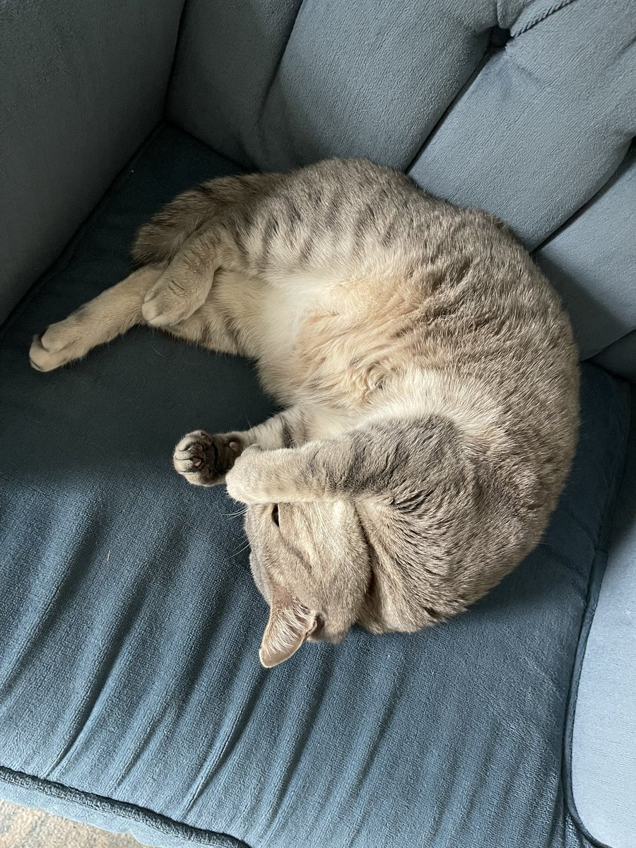 Alison Lohman tweet media