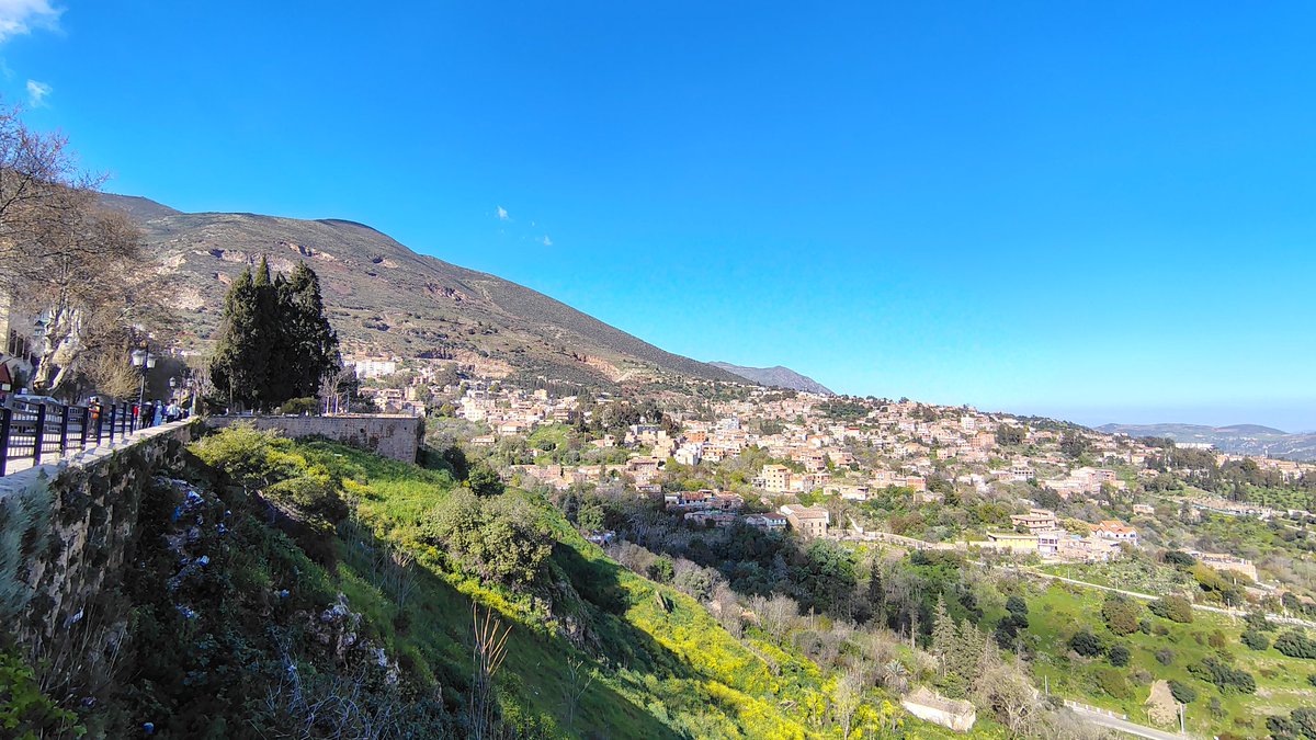 Bessekri A.S 🇩🇿🏴‍☠️🇪🇭🇵🇸🔻 tweet media