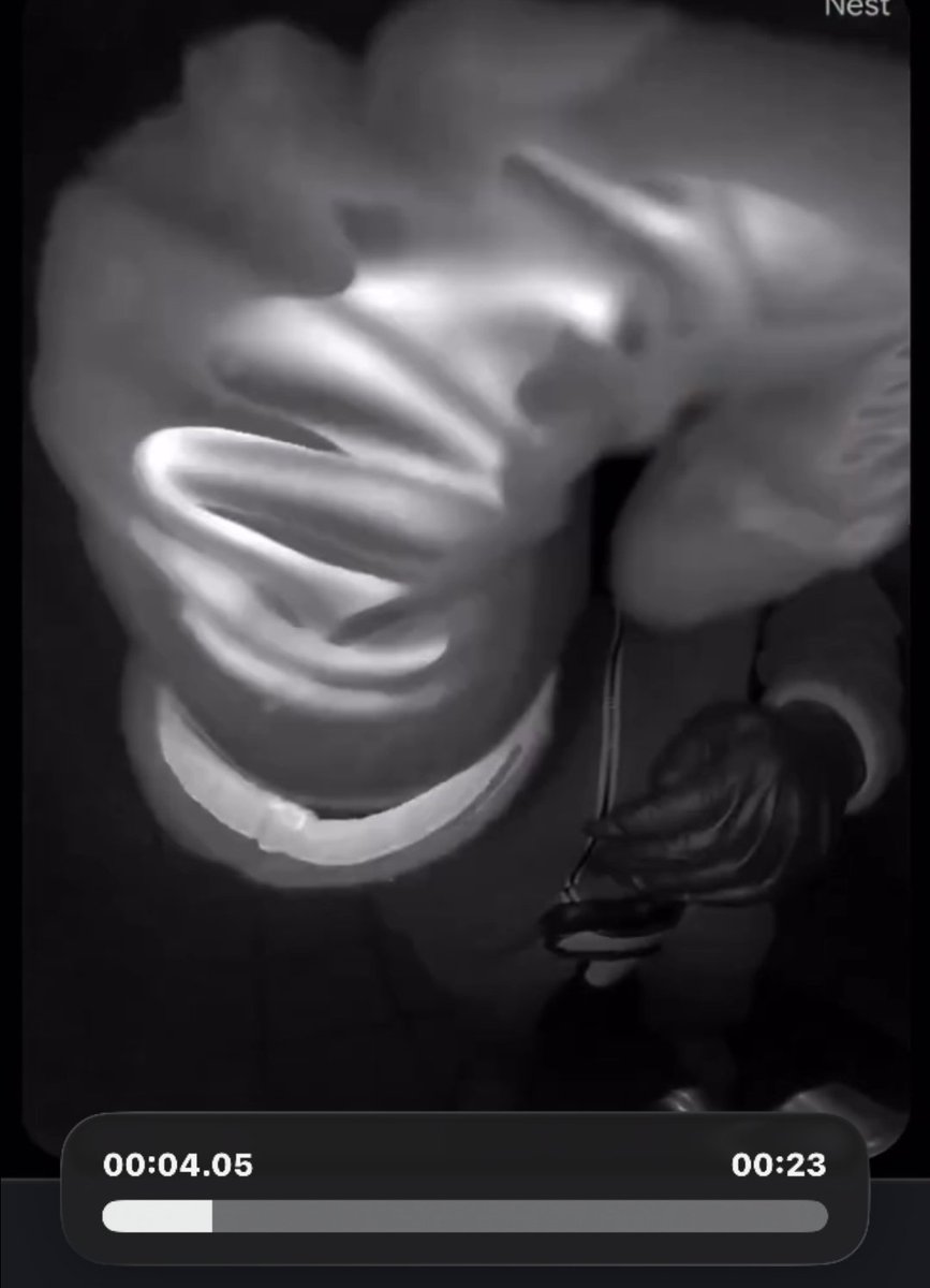 Jennifer Coffindaffer tweet media