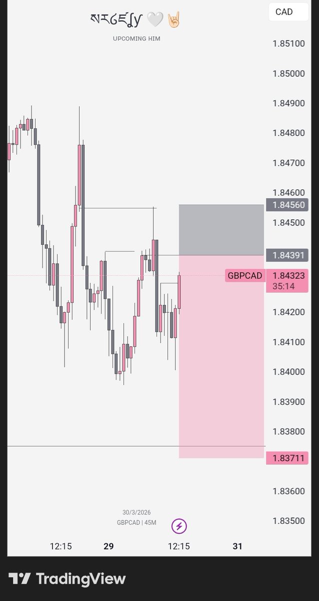 ₦ł₡EŁ¥ ࿇ tweet media