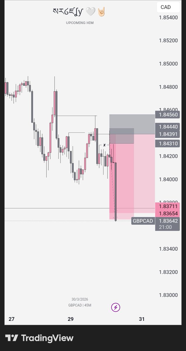 ₦ł₡EŁ¥ ࿇ tweet media