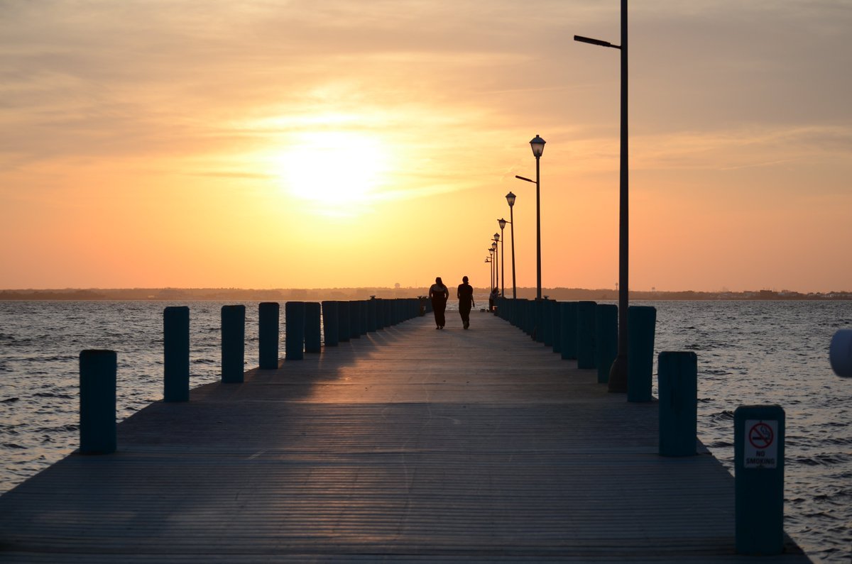 TJB Creative tweet media