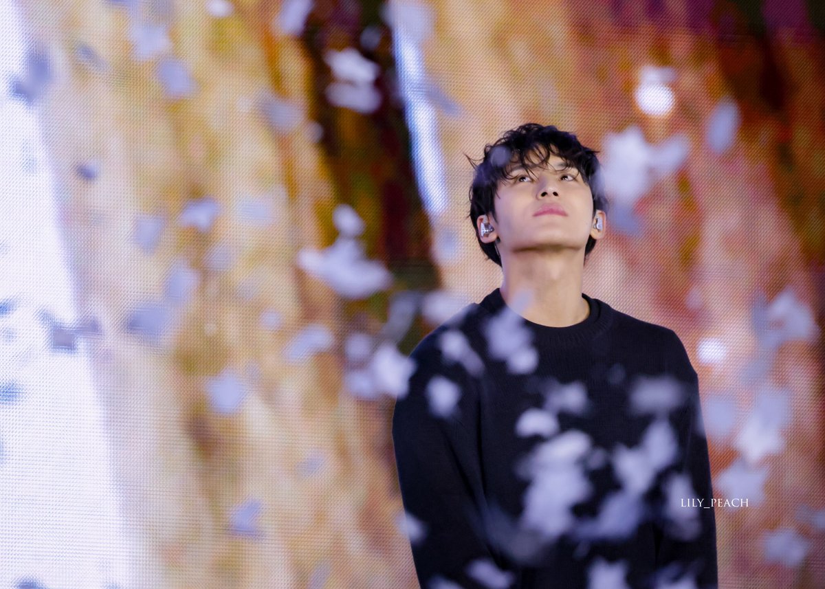 LILY_PEACH tweet media