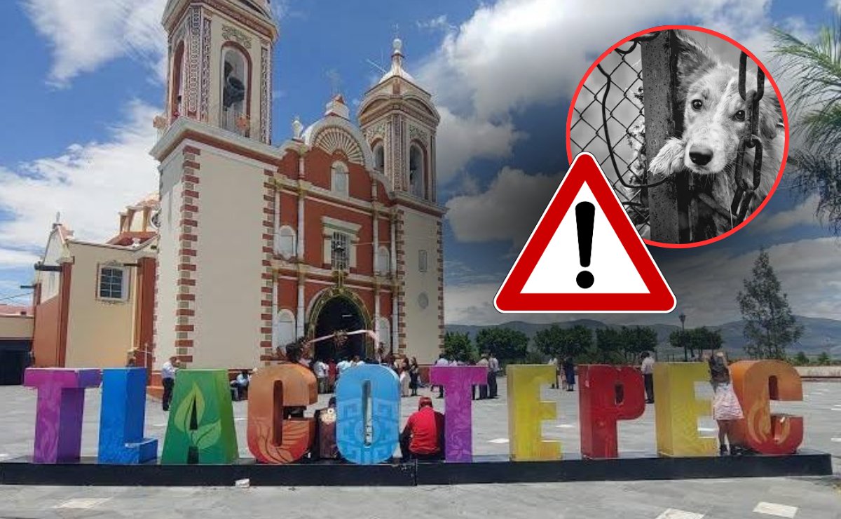 Luis Gabriel Velázquez tweet media