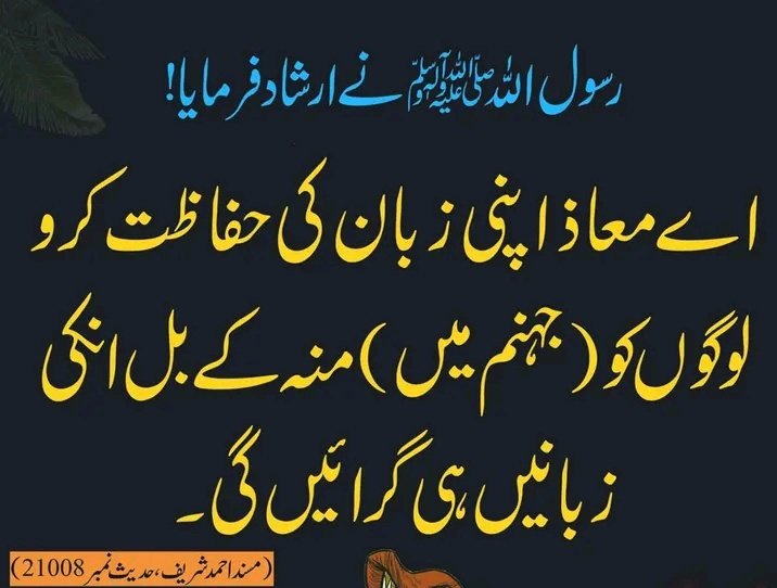 🌸Ameer khan 🇵🇰 tweet media