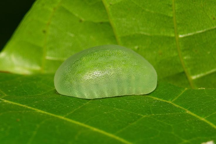 hawa ï๑ tweet media