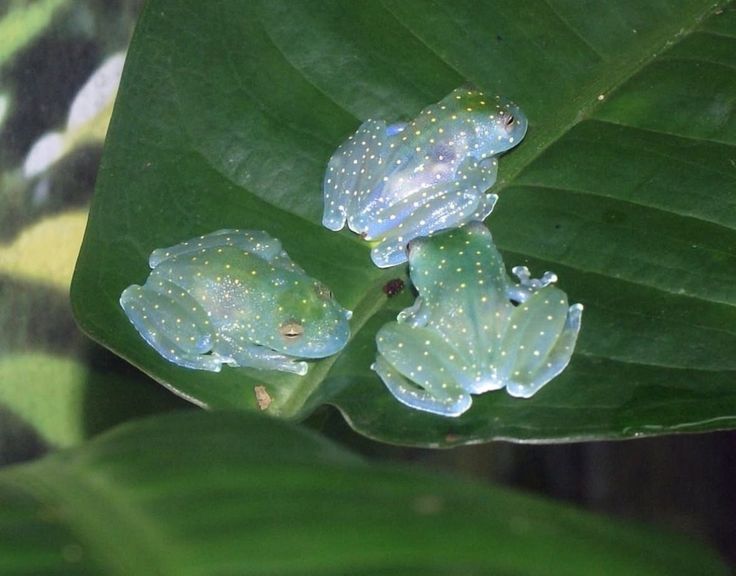 hawa ï๑ tweet media