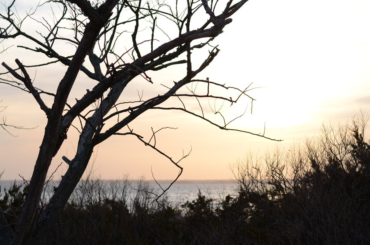 TJB Creative tweet media