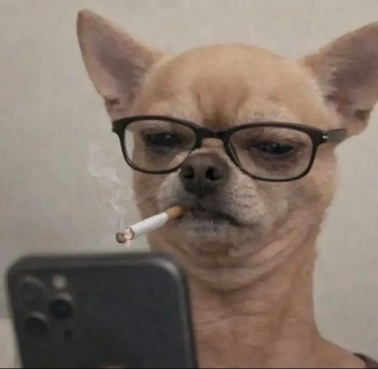 제이크 tweet media