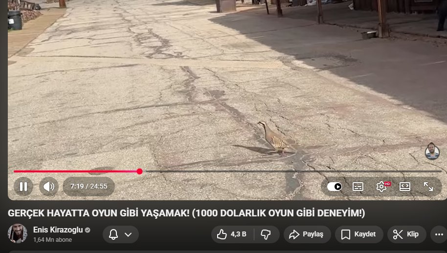 keles sever tweet media