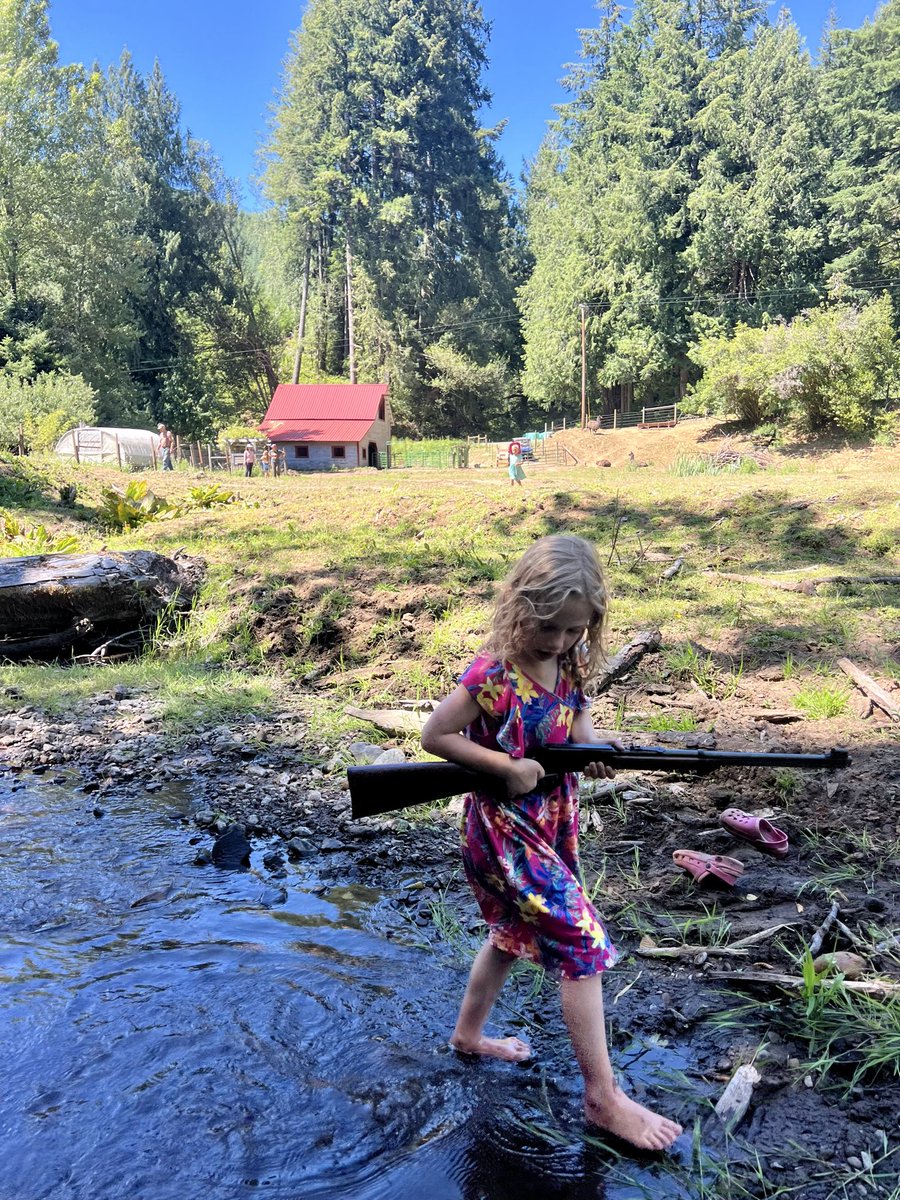 Dale Stark tweet media