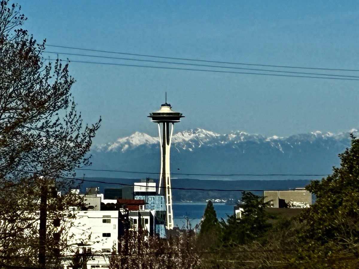 SeizureSalad 🧠 tweet media