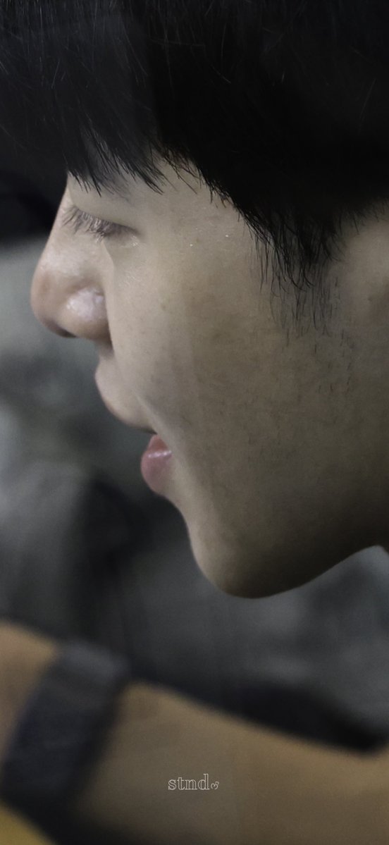 ◡̈ 𝚂𝚝𝚗𝚍_ᰔᩚ (REST) tweet media