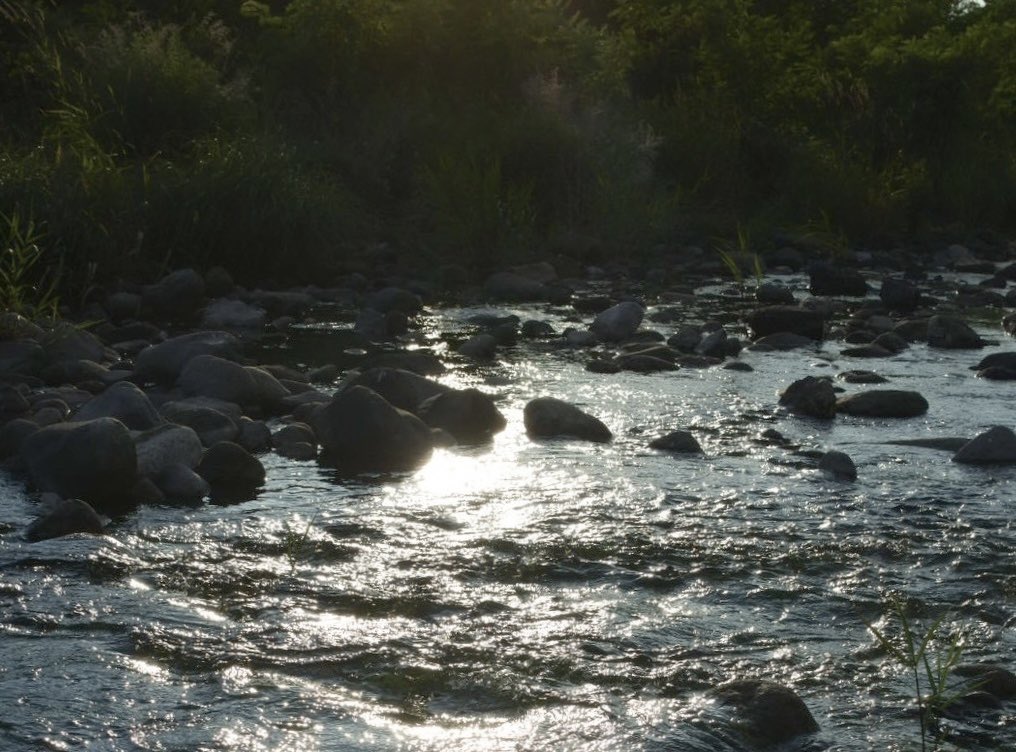 ⋆ ☄︎. ·˚ * ꙳ tweet media