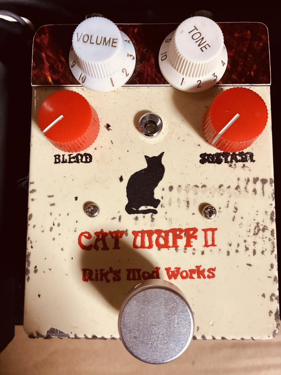 加納靖識 tweet media