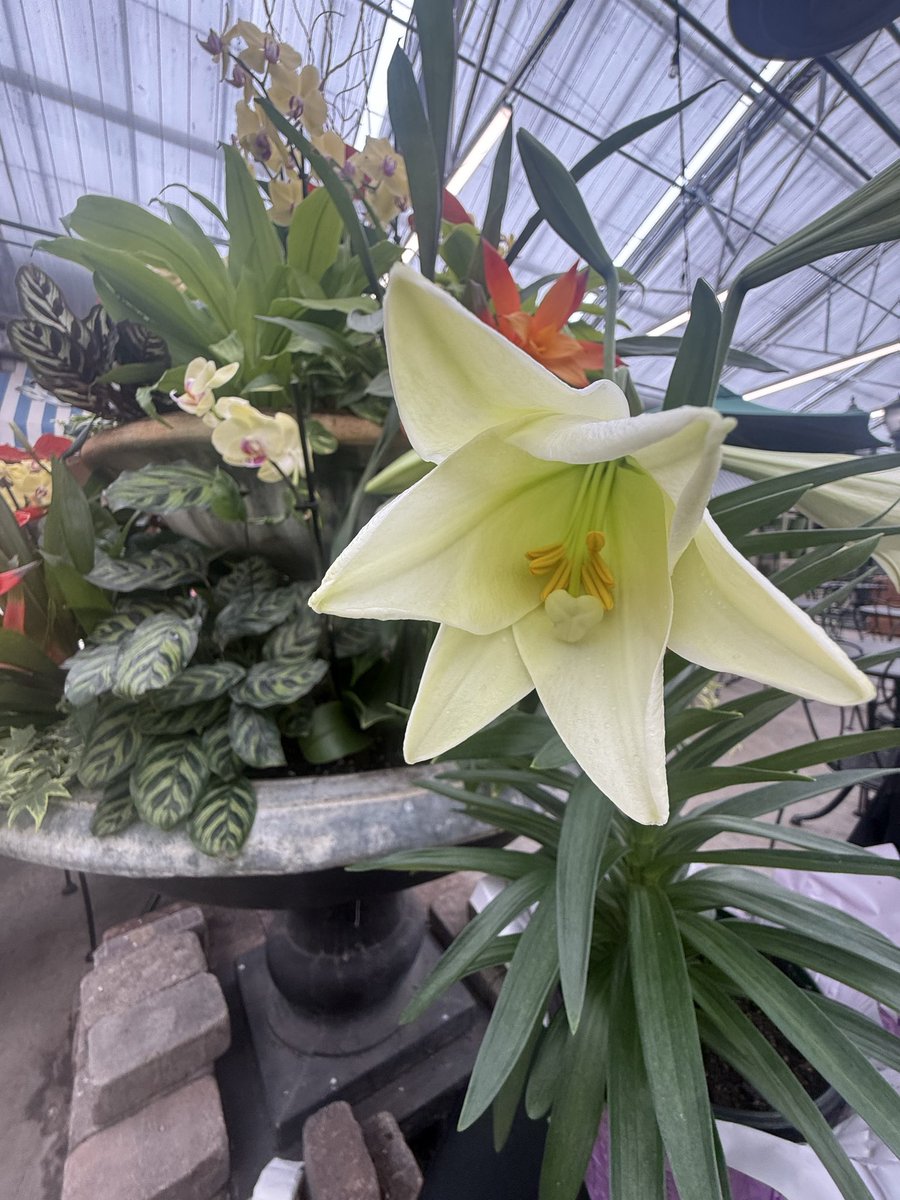 M.A. Slipka tweet media