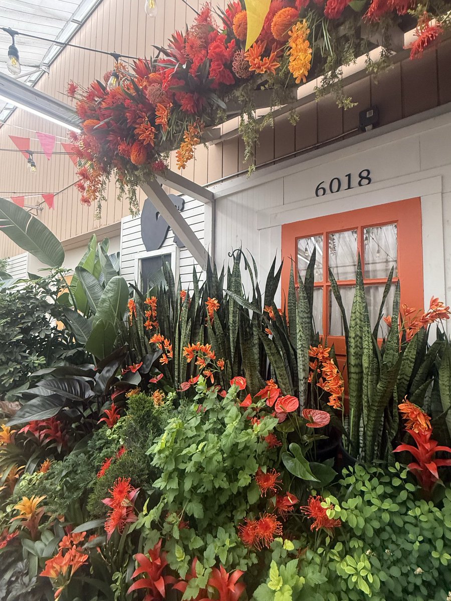 M.A. Slipka tweet media