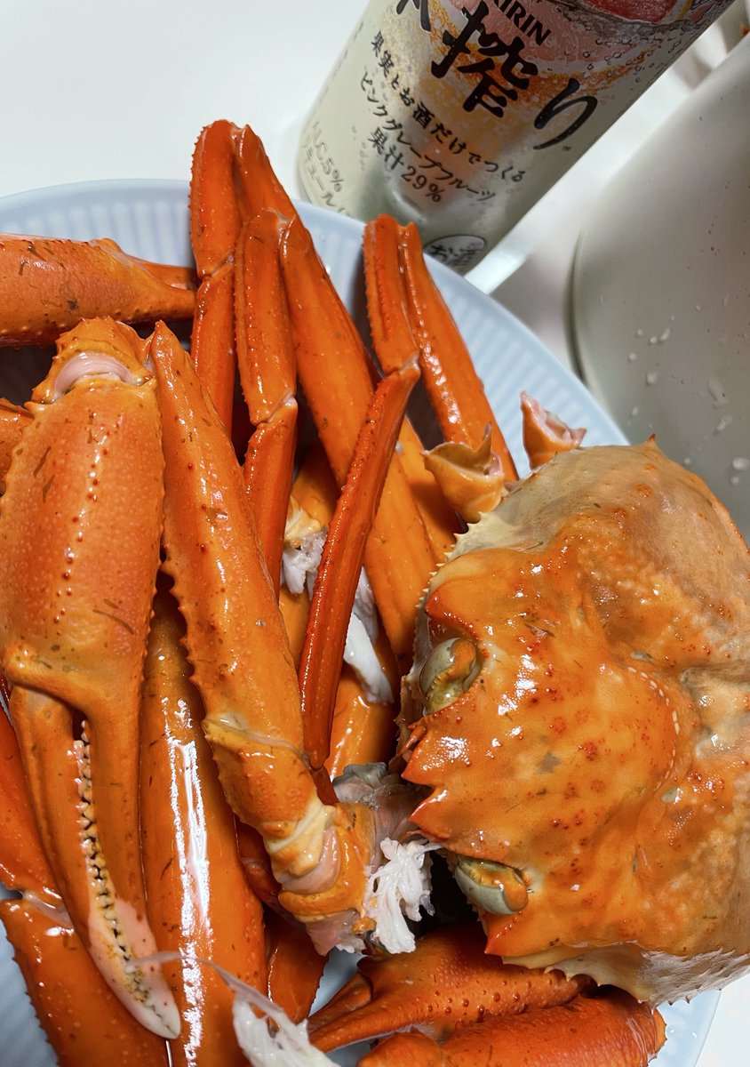 たけのこ tweet media